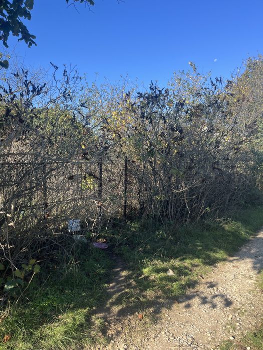 Продава се Парцел в Варна, Базар Левски - 347 кв.м за 41 €/кв.м - Снимка #4