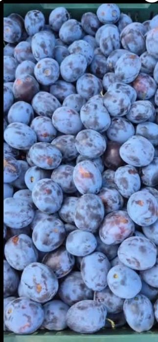 Prune de vânzare anaspect!