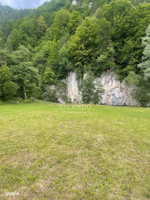 Teren Investiție Turistică Dâmbovicioara Baranga | 4.500 mp
