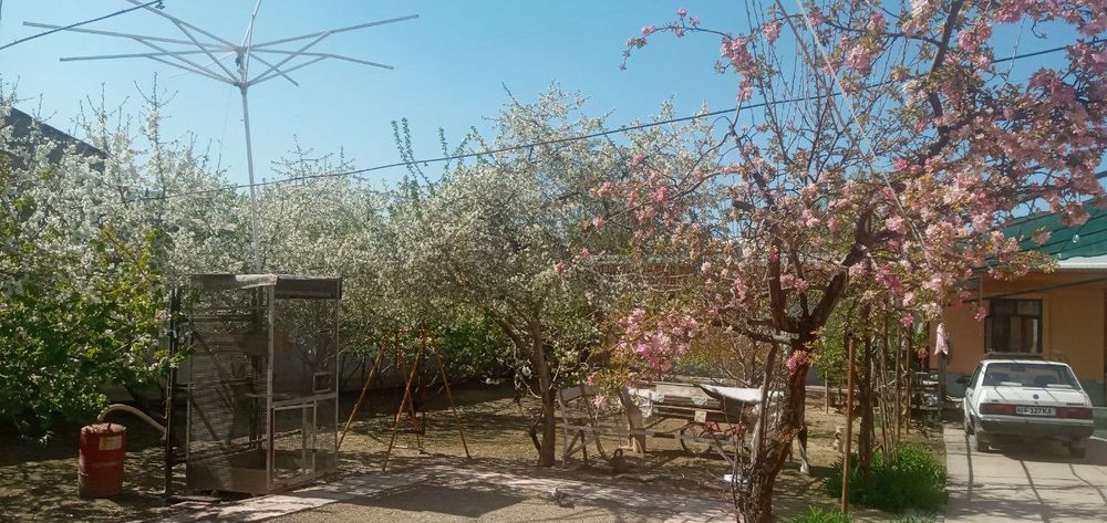 ДОМ, Жилой недвижимость в Яшнаабадский районе