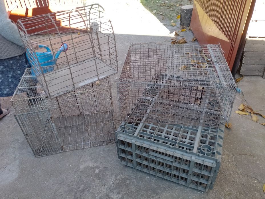 Cuști transport păsări