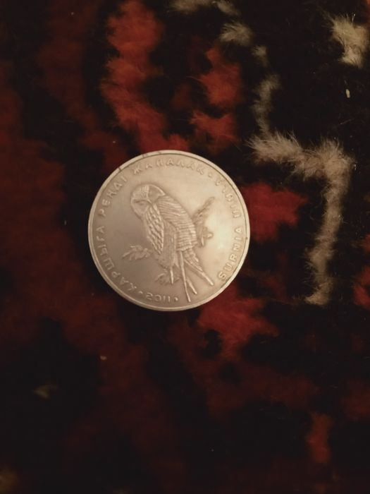 Монета 50 тг сова из красной книги