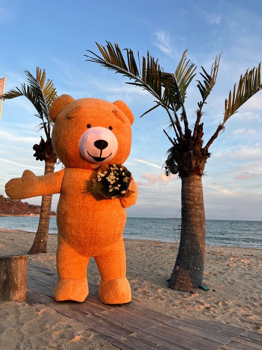 Костюм мечка с батерия .Нова