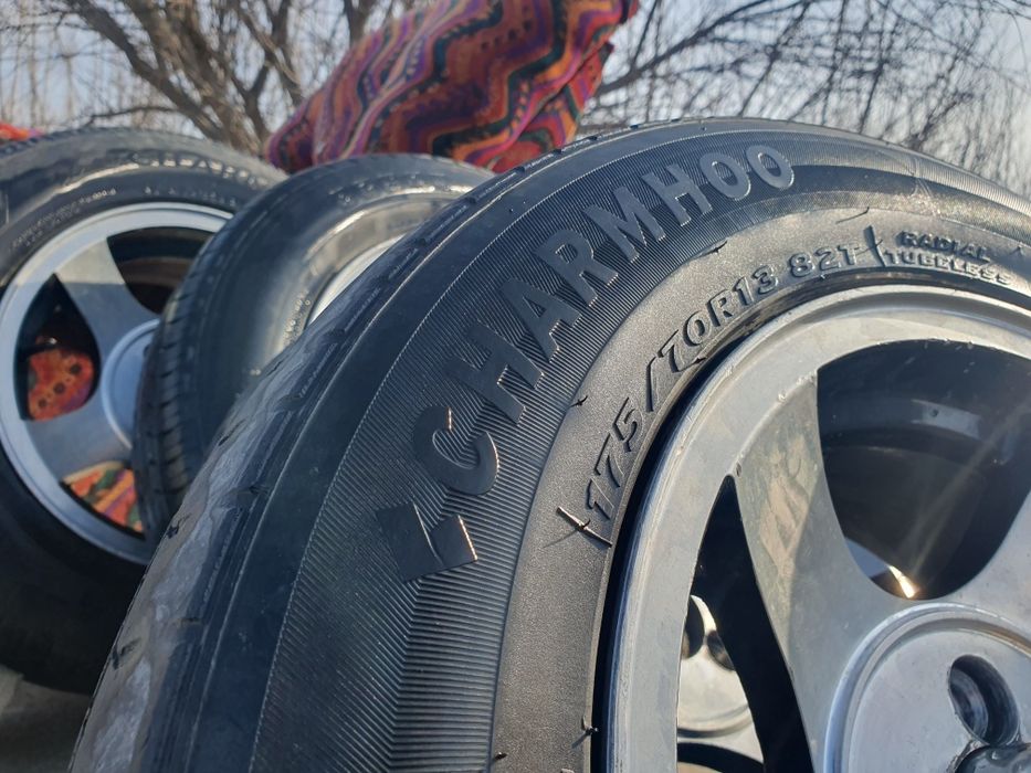 Черепаха diska R13