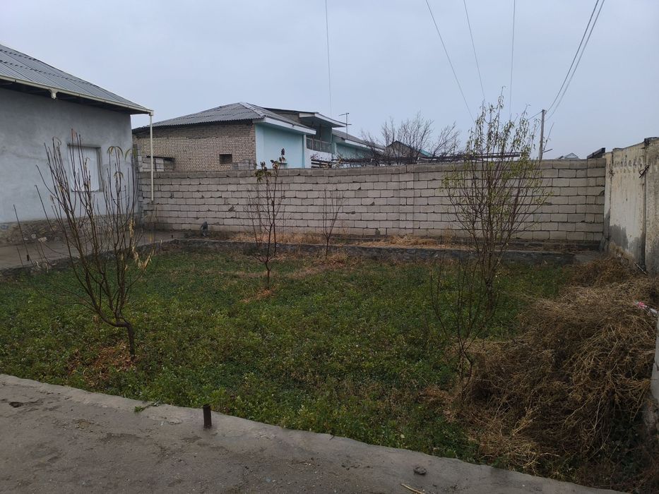 Hovli juda yaxshi holatda