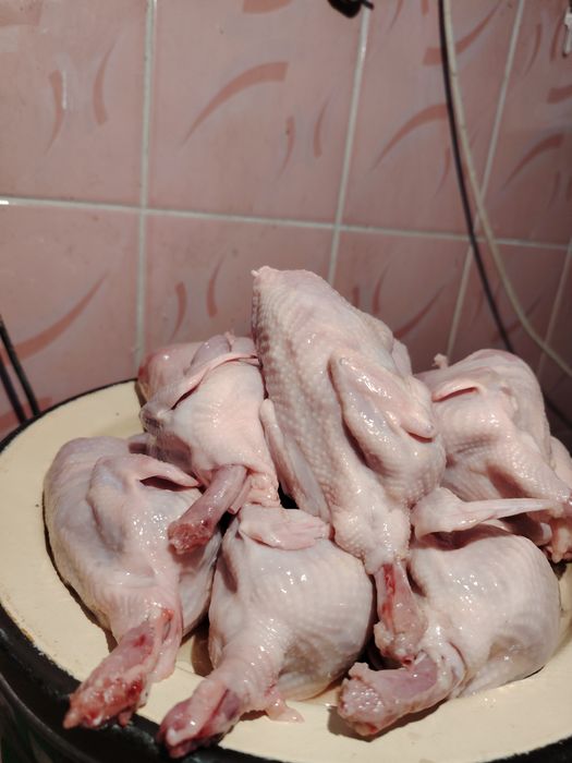 Перепелиное мясо, бөдене еті, перепелиные тушки