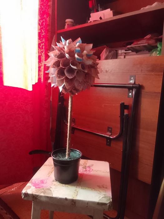 Продаю сувенир денежное дерево.