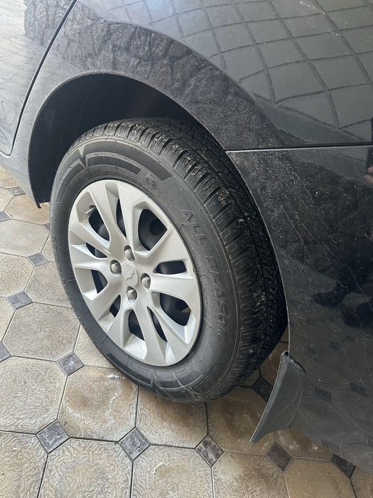 Оникс механика 2023 й кора ранг