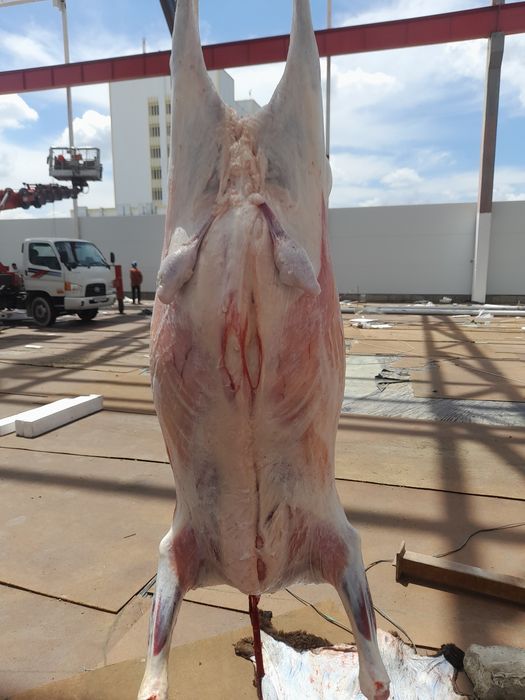 24.7 Qassob xizmati buxoroda boqilgan.