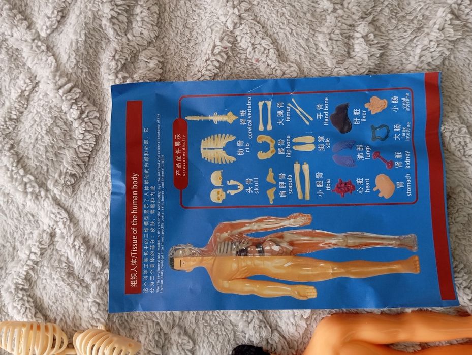 Игра "Operation", пъзел "Човешко тяло"