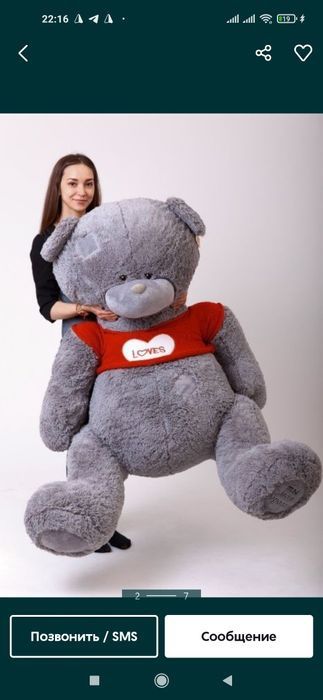 Teddi Teddy ayiqchalar 30 sm 3m gacha