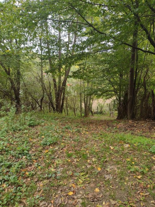 Teren intravilan 3398 mp Provita de Sus -Prahova