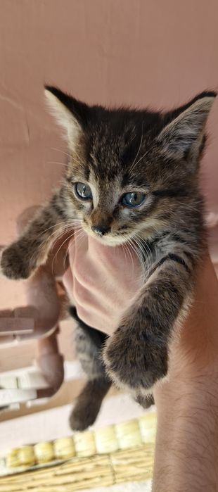 Нашли очаровательных малышей