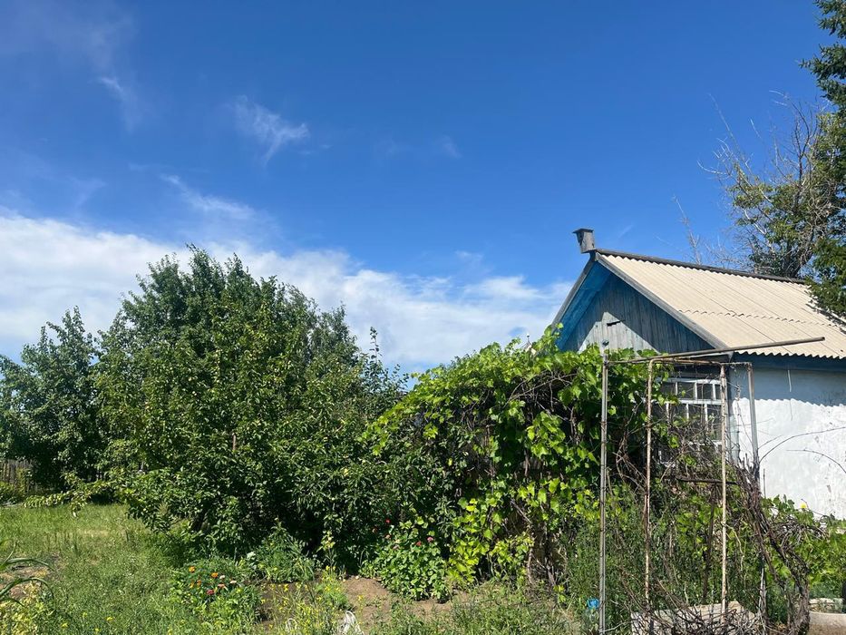 Продам дачу сад "Нефтяник"