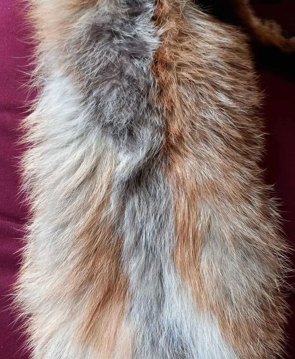 Продавам  естествена кожа от лисица