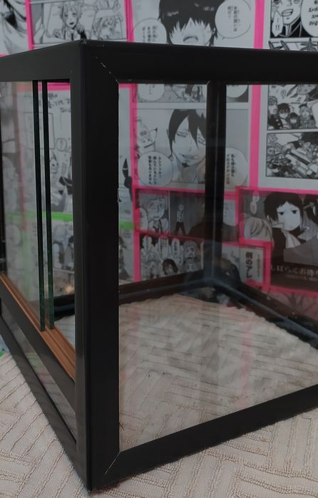 Террариум для пауков.