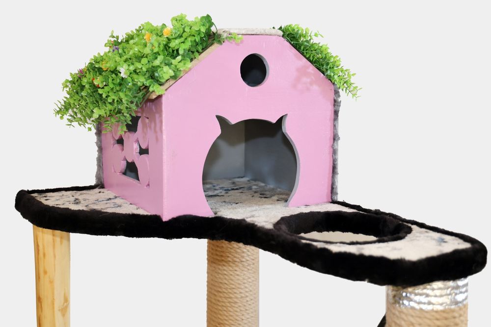 Домики кошек и котят