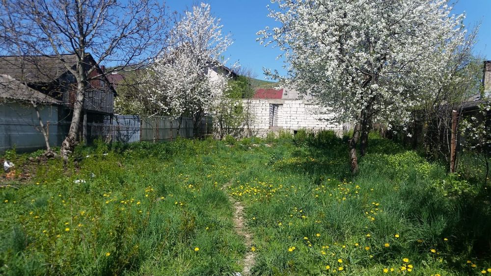 Vand casa batraneasca si teren