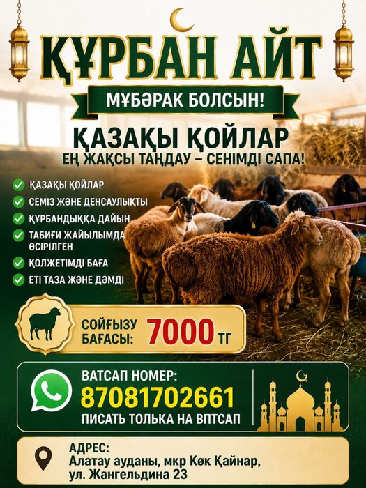 продам баранов,на Курбан айт