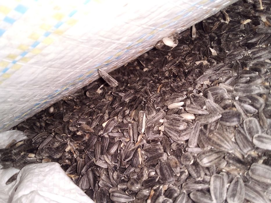 Cereale aduse gratuit la dumneavoastră acasă