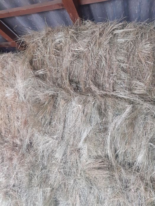 Baloti de fân de vânzare