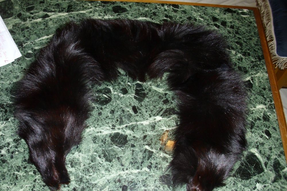 Caciula si guler vulpe argintie