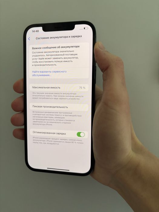 iPhone 12 Pro Max (blue)