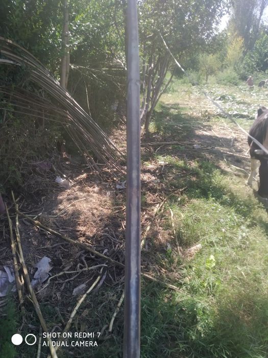 Issiqxona metalli salafani bilan sotiladi