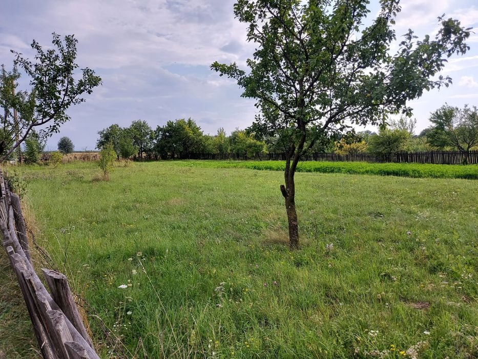 Teren intravilan in comuna ESTELNIC, jud Covasna