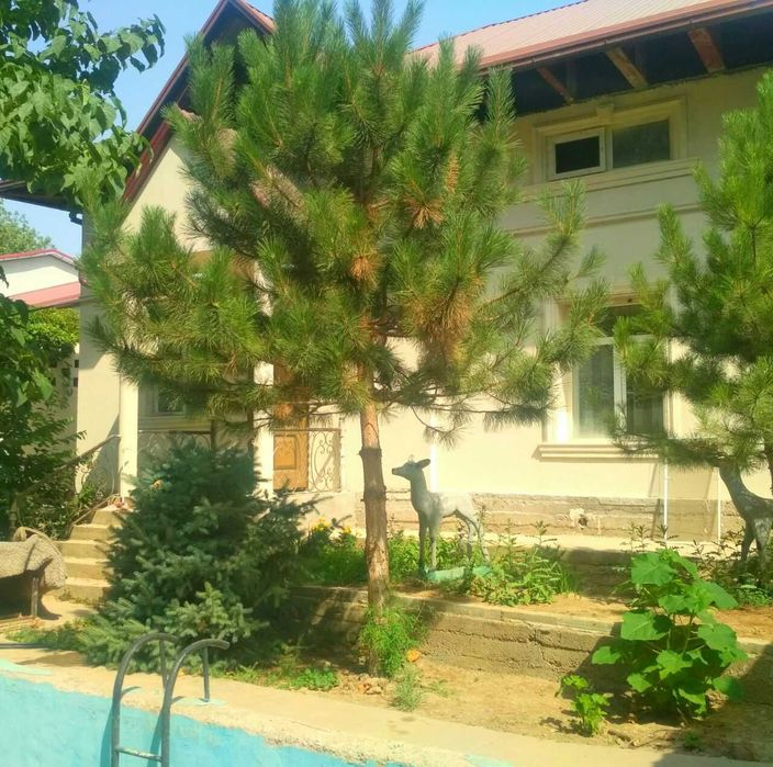 Экология Тоза Сув буйида Уй СОТИЛАДИ 5 СОТИК 3 ХОНА  УЛУГБЕК ш.