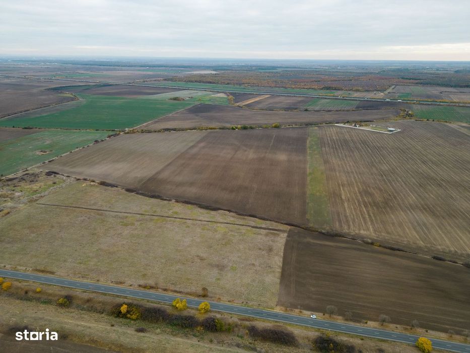 Teren 22.500 mp–Pecica, jud. Arad,Posibilitate PUZ