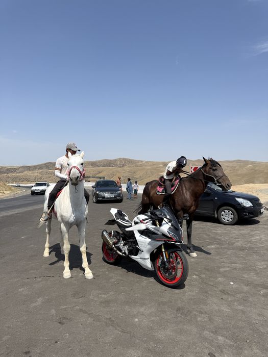 Cf moto 450 sr ideal