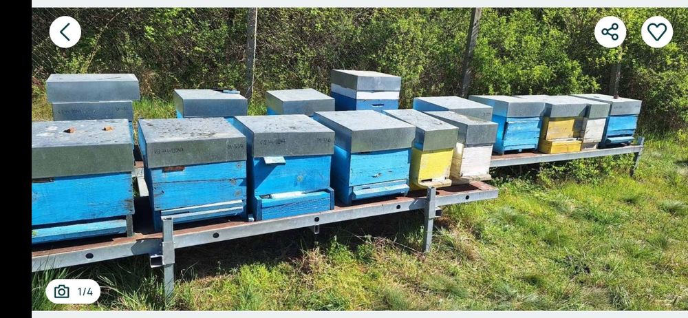 Продавам платформи за подвижно пчеларство
