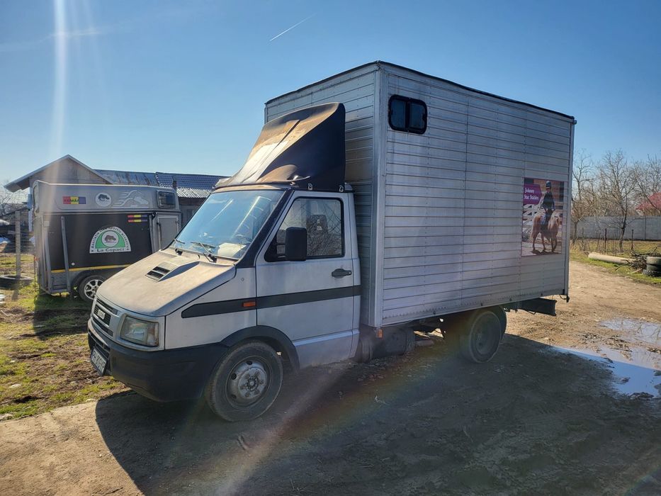 Iveco transport cai animale