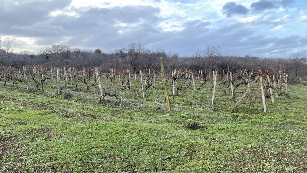 Циментови колове 8 х 9см