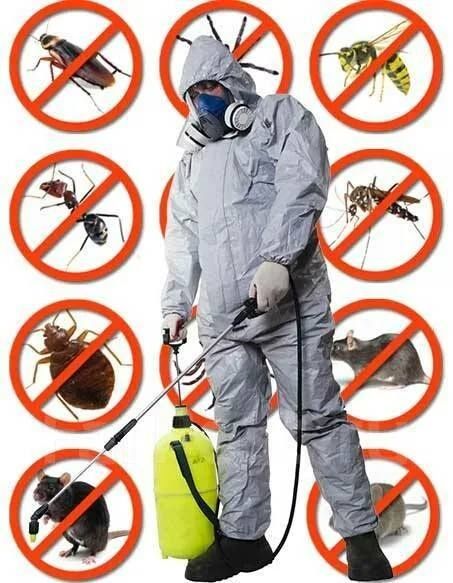 Дезинфекция Тараканов Клопов Мух Блох Клещей