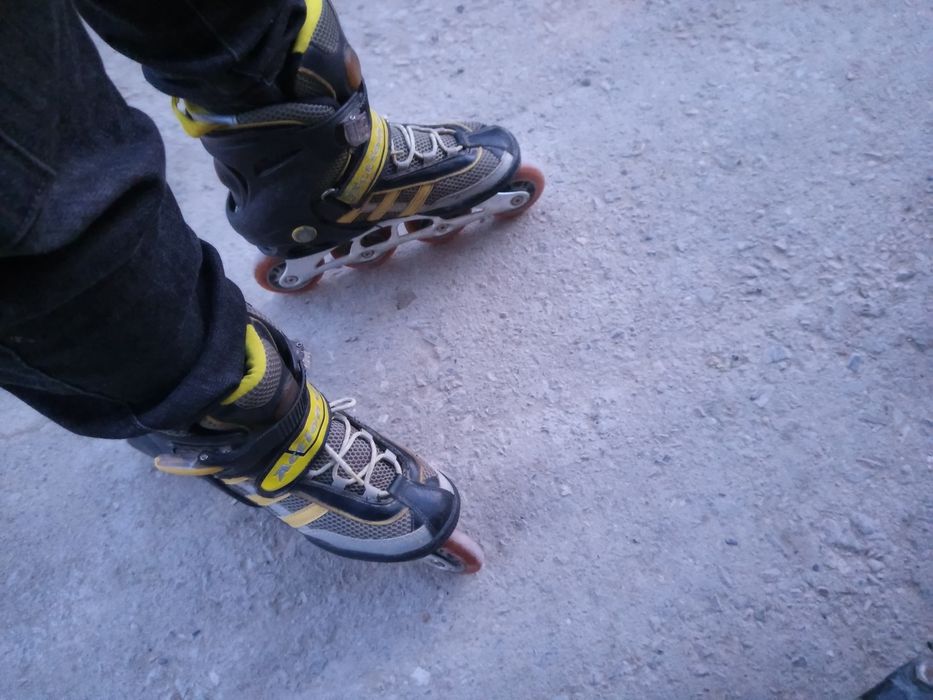 Rolik sotaman bushoro