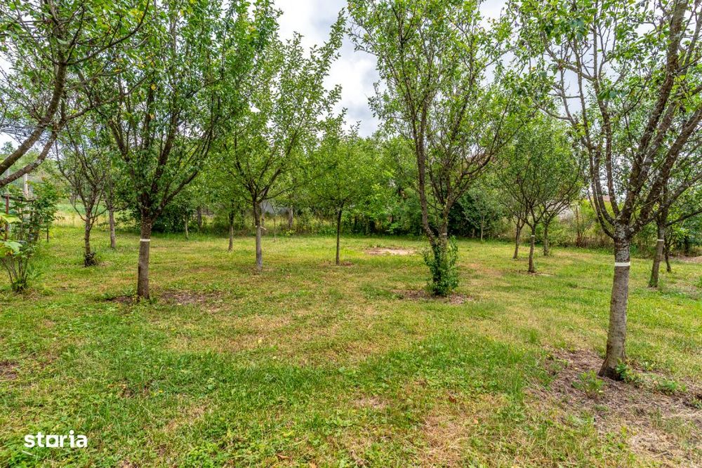 Comision 0% Casa individuala la cheie | 900mp teren | sat. Braisoru
