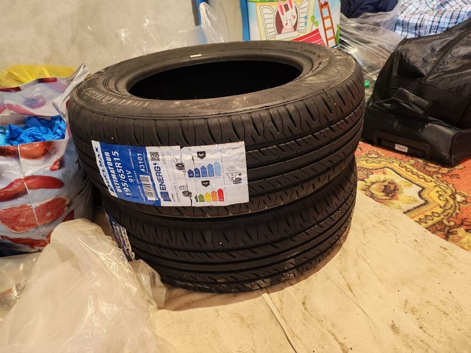 Кыскы донгелектер сатылады