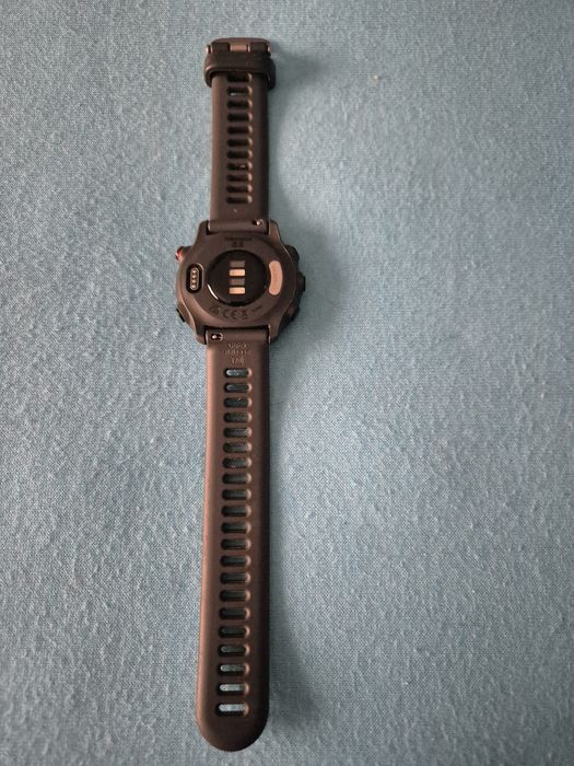 Smartwatch Garmin Forerunner 55