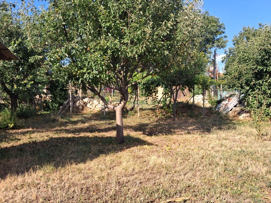 Продава се Парцел в с. Тодорово, Област Плевен - 500 кв.м за 41 €/кв.м - Снимка #1