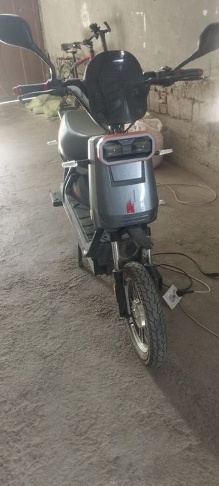 1oy minilgan holti idiyal