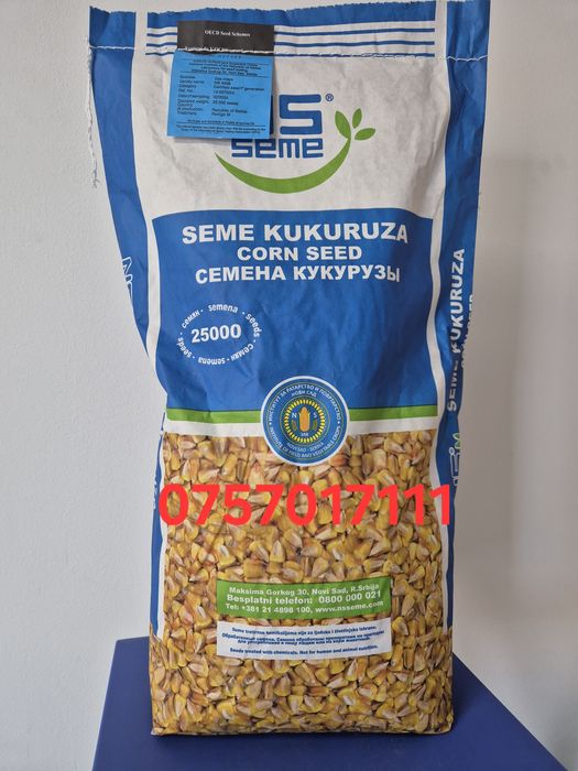 Samanta porumb Fundulea/Olt/ZP/NS