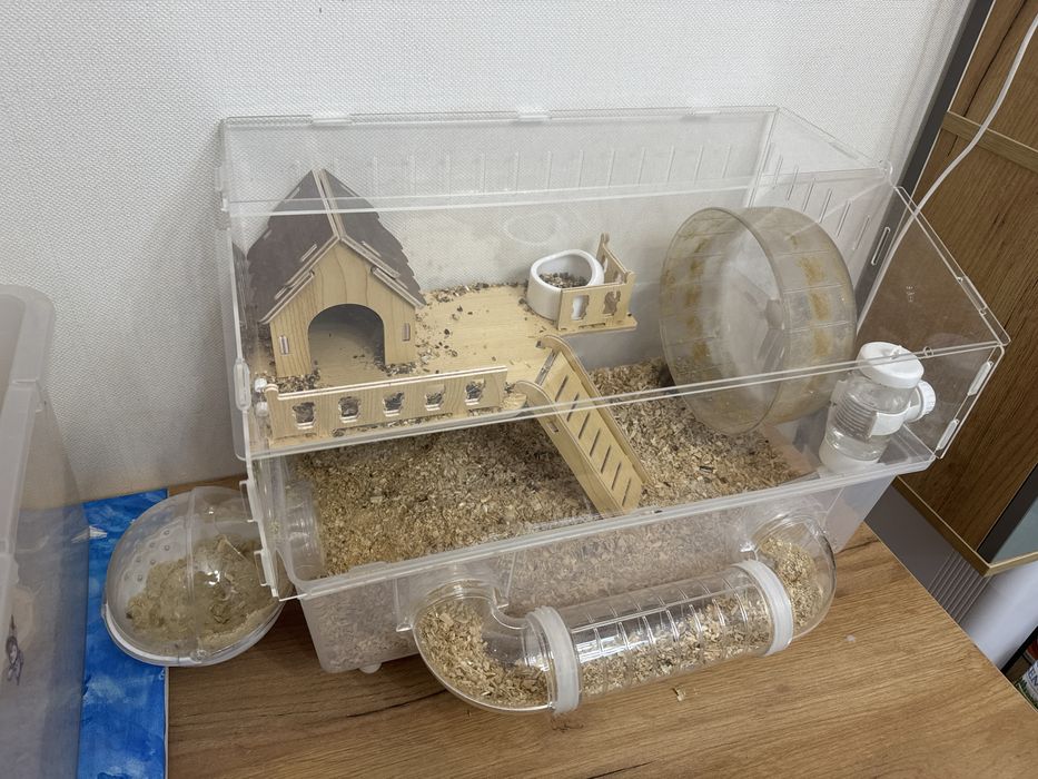 Хомяк с клеткой