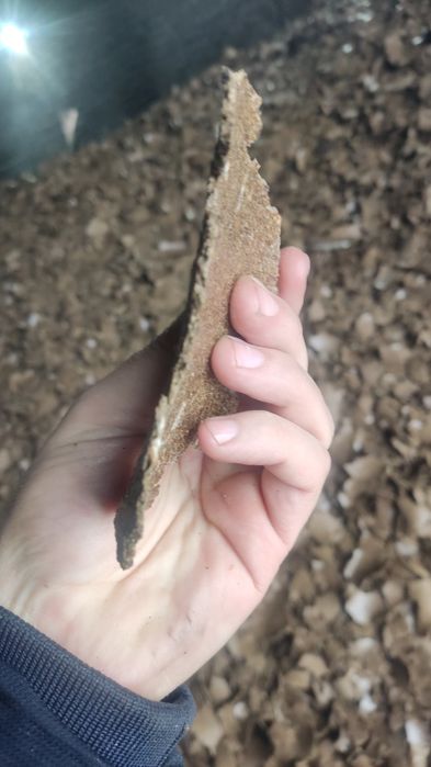 Реализуем льняной Жмых