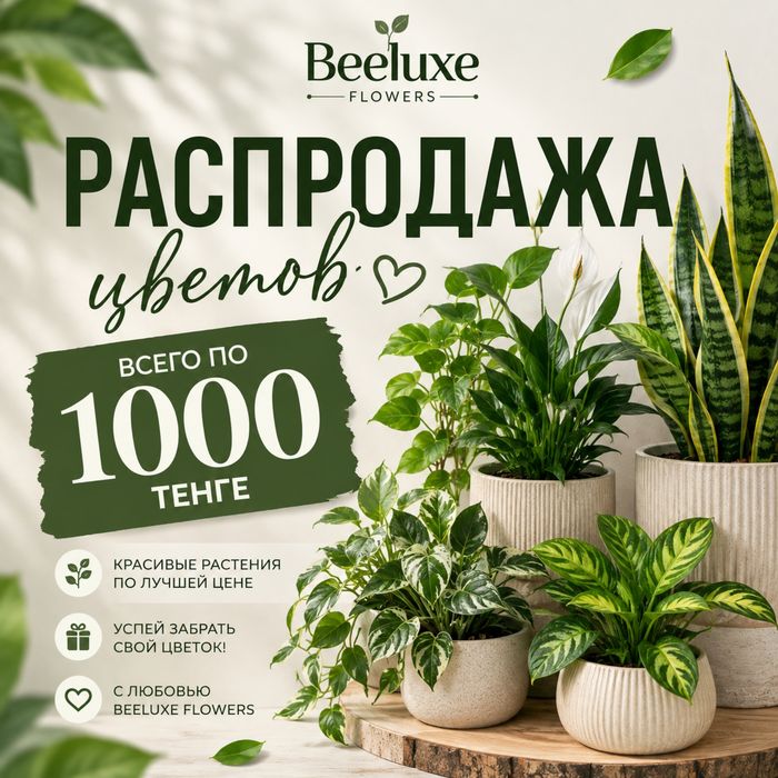 Распродажа всех цветов