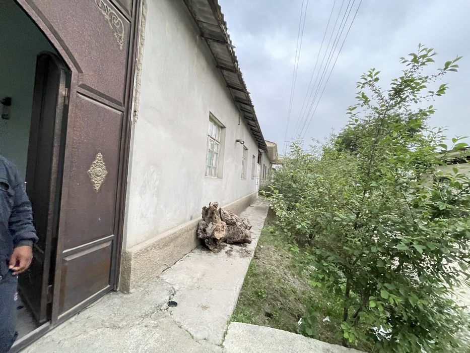 Uy sotiladi Plem Savxoz 16 sotok