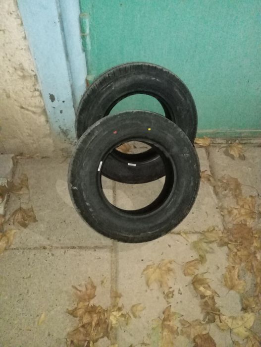 Damas 12 baloʻn sotiladi