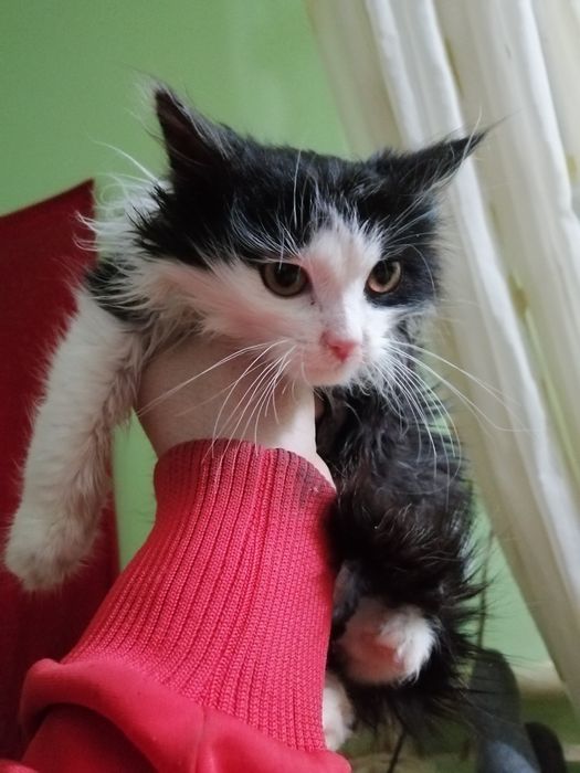 Руслан  кадиров00