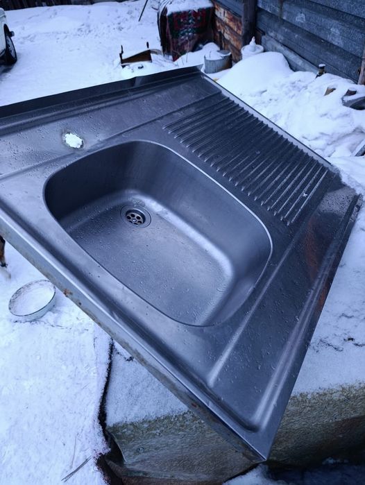 Раковина тюльпан